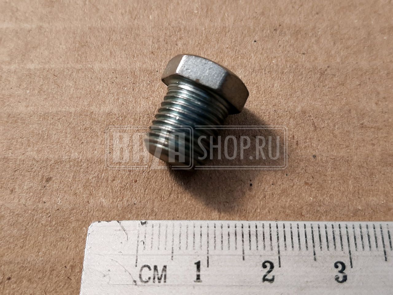 Пробка крышки гидронатяжителя М10*1 дв.ЗМЗ 406, 409 КГ 1/8" (Красная Этна)** / 262541-П29
